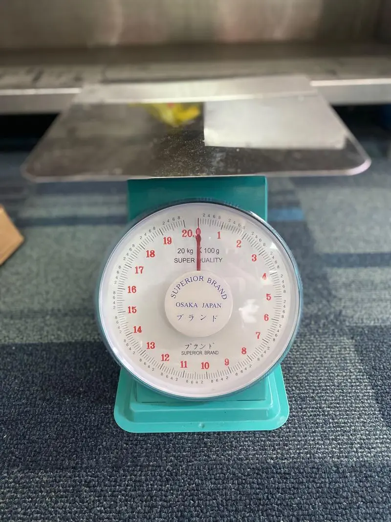 Superior Scale-F Flat-Plate Digital Weighing Scale For Industrial Use 1